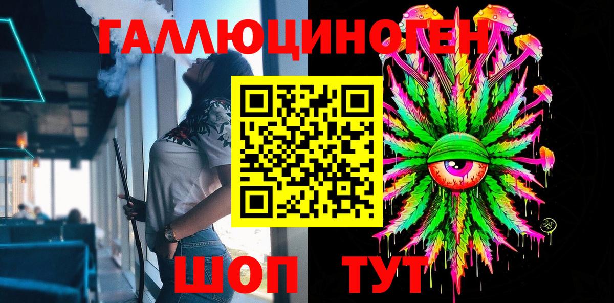 Галлюциногенные грибы Psilocybine cubensis Морозовск