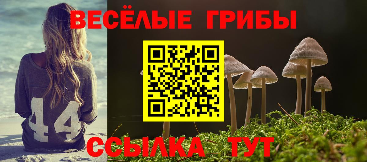 Псилоцибиновые грибы мухоморы  Галлюциногенные грибы прущие грибы  Морозовск  наркотики  Вход с VPN 